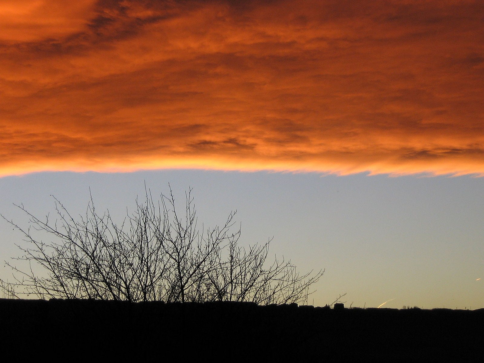 Photo of the “chinook arch” phenomenon: a striking sunset sky with a band of fiery orange clouds well above the horizon. Clear dark blue sky is seen between the clouds and the horizon. On the black horizon is the silhouette of a barren tree.
