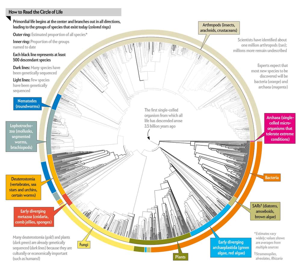 A circular phylogenetic tree illustrates the evolutionary relationships among 2.3 million known species, radiating from a common origin at the center—life’s first single-celled ancestor 3.5 billion years ago. Colored outer segments represent major groups such as arthropods (tan), bacteria (orange), archaea (magenta), plants (green), fungi (yellow), and various protists. The inner ring shows the proportion of named species, while the outer ring estimates their total share of biodiversity. Darker lines indicate species with available genetic sequences, highlighting dense sequencing in groups like vertebrates and plants. The diagram emphasizes both the vast diversity of life and the many species still genetically uncharted.