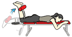 Illustration of a woman using a hamstring curl machine.