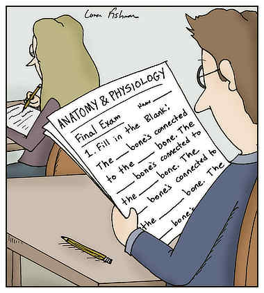 Cartoon of a man taking an “Anatomy and Physiology Final Exam,” the text of which we can see over his shoulder. It reads: “1. Fill in the blank: The blank bone’s connected to the blank bone. The blank bone’s connected to the blank bone.” And it continues like that off the bottom of the page.