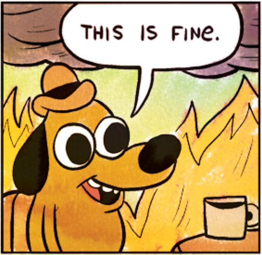 The “this is fine” meme: a cartoon dog seated and drinking a beverage from a mug while surrounded by flames and smoke.