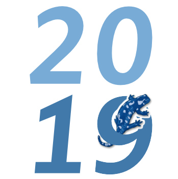 Graphics of the number 2019 with the PainScience.com salamander crawling through the hole in the 9.