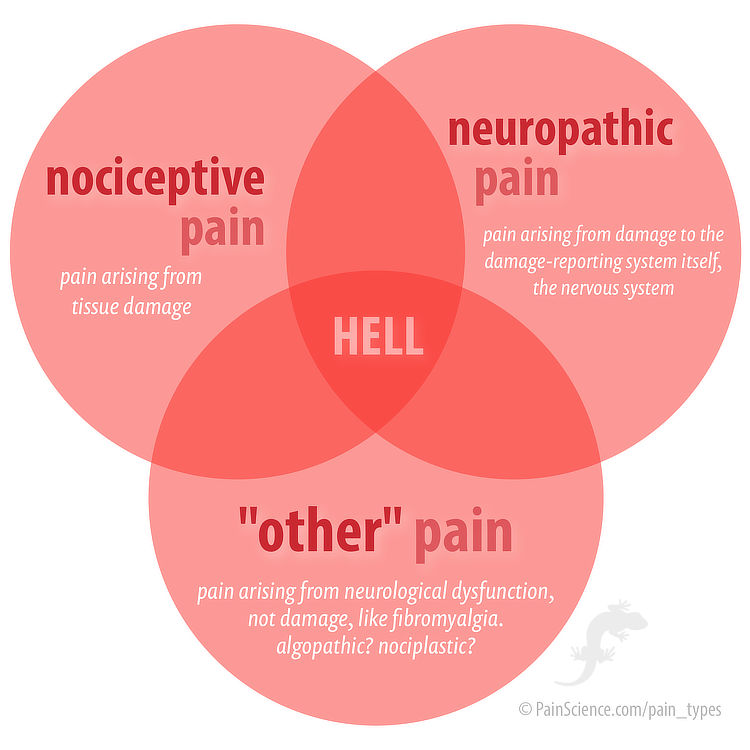 Venn diagram showing the intersection of neuropathic pain, nociceptive pain, and “other” pain. In the centre is the word “hell.”