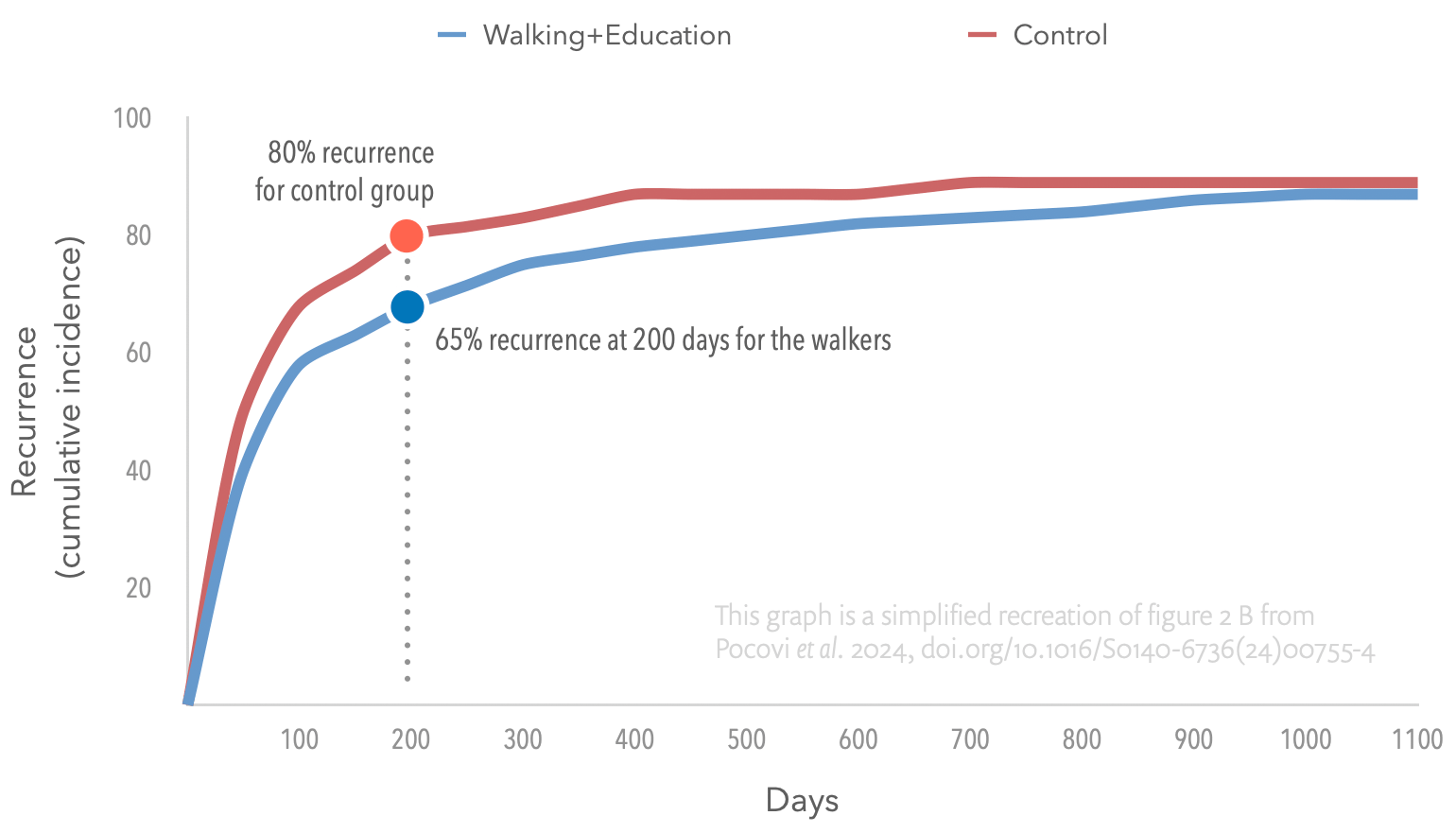 A simplified version of a graph from a scientific paper, showing two lines tracking how offense back pain recurred for two experimental groups over about three years. Specifically, the graph compares the “cumulative incidence of recurrence” between two groups: one receiving “Walking + Education” (blue line) and a control group (red line). The x-axis represents the number of days, ranging from 0 to 1100, while the y-axis represents the recurrence (cumulative incidence) in percentage, ranging from 0 to 100%. Key points from the graph: The lines do not diverge very much. The difference is greatest at 200 days, about 15%. The data is based on a simplified recreation of figure 2B from Pocovi et al. 2024.