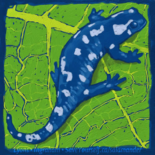 The image depicts a stylized painting of a blue salamander with white spots, shown from a top-down perspective. The salamander is positioned against a bright green, textured background resembling a leaf, with bold veins and cracks. The salamander’s body curves slightly, with its tail extending towards the bottom left corner, and its legs spread as if crawling. The deep blue of the salamander contrasts vividly with the green background, giving the image a striking, almost graphic appearance. The artwork appears playful and dynamic, with a textured, hand-painted quality.