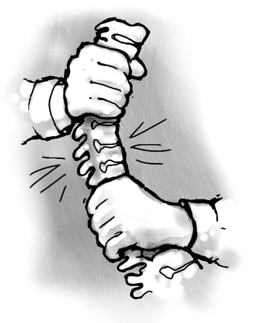 Illustration of spinal adjustment: two hands gripping a skeletal spinal column.