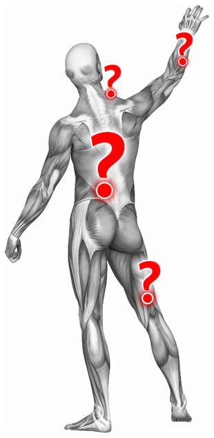 A B&W anatomical illustration of a dissected man to expose his musculature, kneeling, with several hot glowing red points on his back that are also the periods in prominent red question marks.