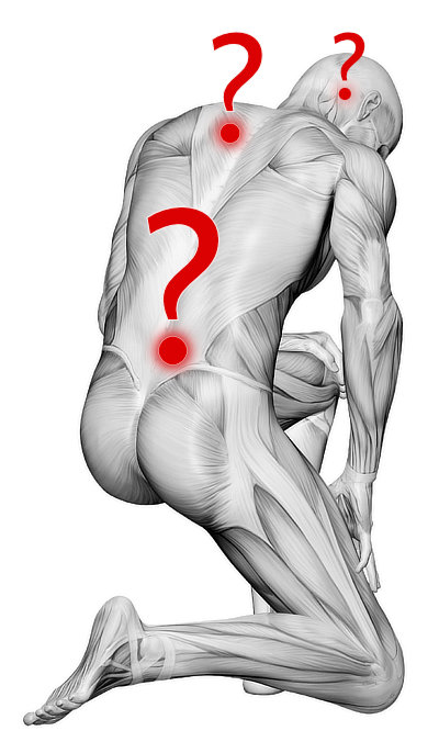 a B&W illustration of a dissected man kneeling, with several glowing red question marks on his back. The dots in the question marks also serve as markers of painful spots in the back muscles.