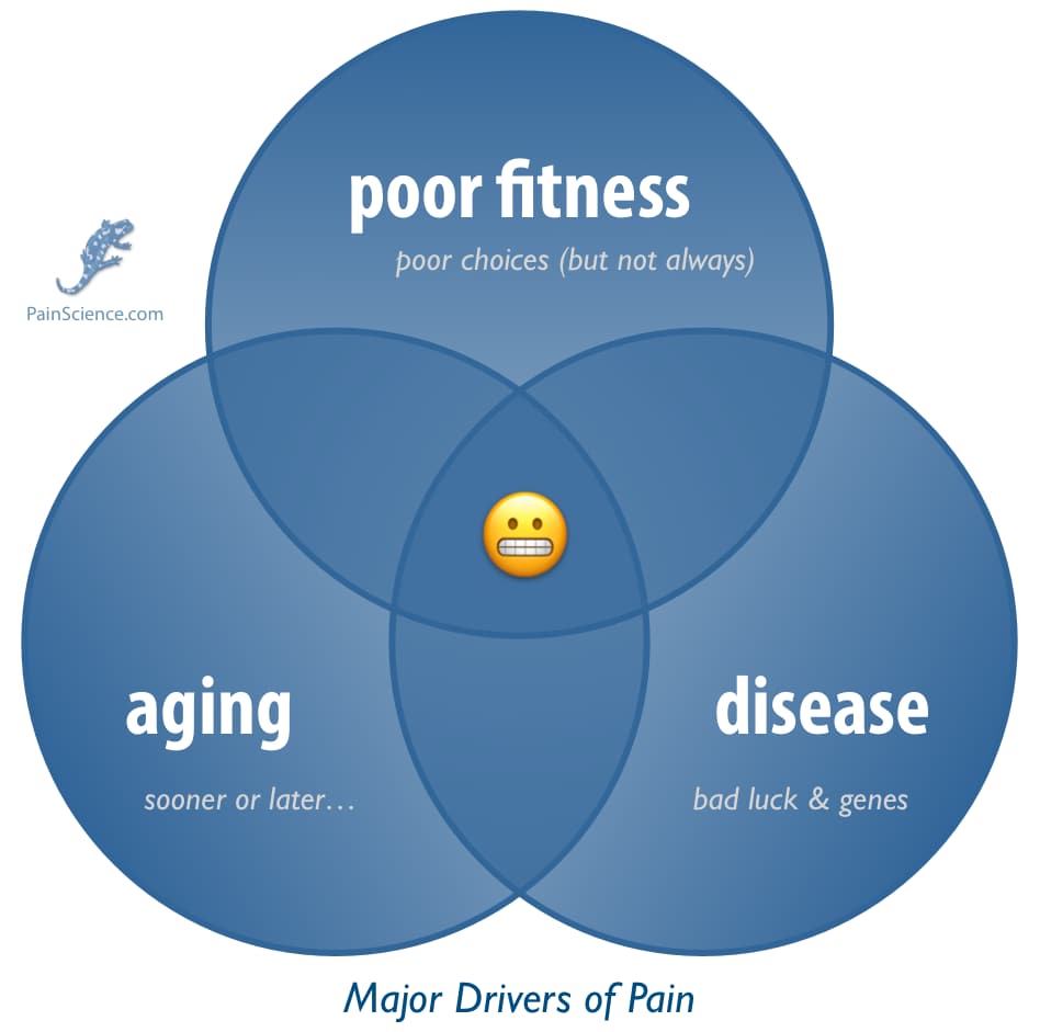 A Venn diagram with three circles: aging, disease, and poor fitness.