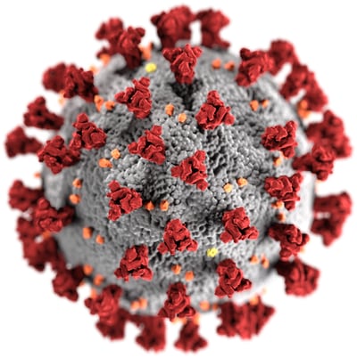 An illustration of the SARS-CoV-2 virus created at the Centers for Disease Control and Prevention (CDC). Note the spikes that adorn the outer surface of the virus, which impart the look of a corona surrounding the virion, when viewed electron microscopically. A novel coronavirus, named Severe Acute Respiratory Syndrome coronavirus 2 (SARS-CoV-2), was identified as the cause of an outbreak of respiratory illness first detected in Wuhan, China in 2019. The illness caused by this virus has been named coronavirus disease 2019 (COVID-19).