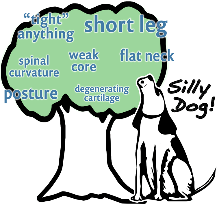 A playful illustration of a dog sitting at the base of a large, stylized tree labeled with various supposed causes of pain or dysfunction, including “tight” anything, short leg, flat neck, weak core, posture, spinal curvature, and degenerating cartilage. The dog looks up at the tree while the caption beside it reads “Silly Dog!” — humorously implying that chasing such “causes” is barking up the wrong tree.