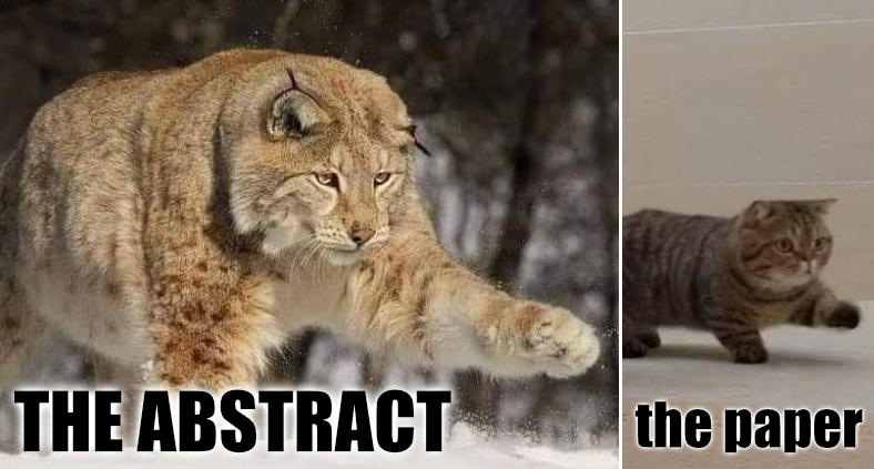 Meme contrasting “the abstract” (a big lynx reaching out with one paw) with “the paper” (a cute widdle housecat in the same posture).