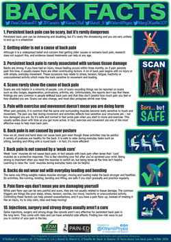 Thumbnail image of “Back Facts” infographic about back pain.