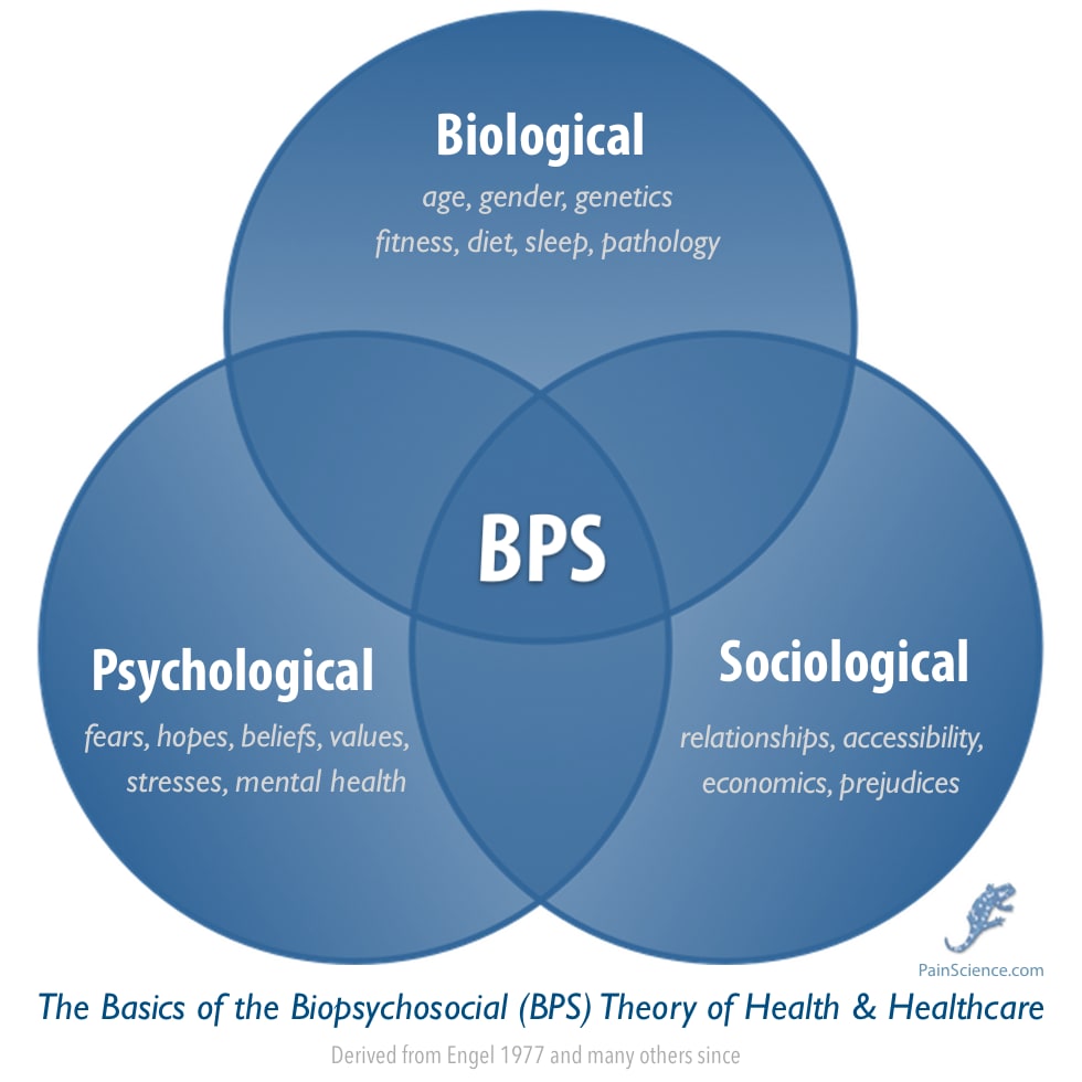 Venn diagram of the major components of the biopsychosocial theory of health/care. Three intersecting circles with "BPS" at the center of "biological" and "psychological" and "sociological." Biological is clarified with "age, gender, genetics, fitness, diet, sleep, pathology." Psychological is clarified with "fears, hopes, beliefs, values, stresses, mental health." And sociological is clarified with "relationships, accessibility, economics, prejudices.