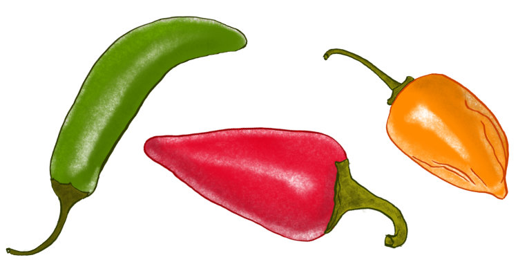 Illustration of three colourful chili peppers: red, green, and yellow.