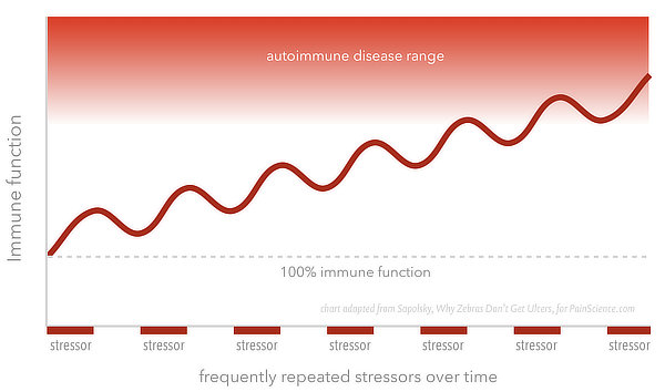 Chart showing a sawtooth pattern of immune function increasing and decreasing with repeated stressors, but never quite recovering before increasing again, producing a steady upward trend.