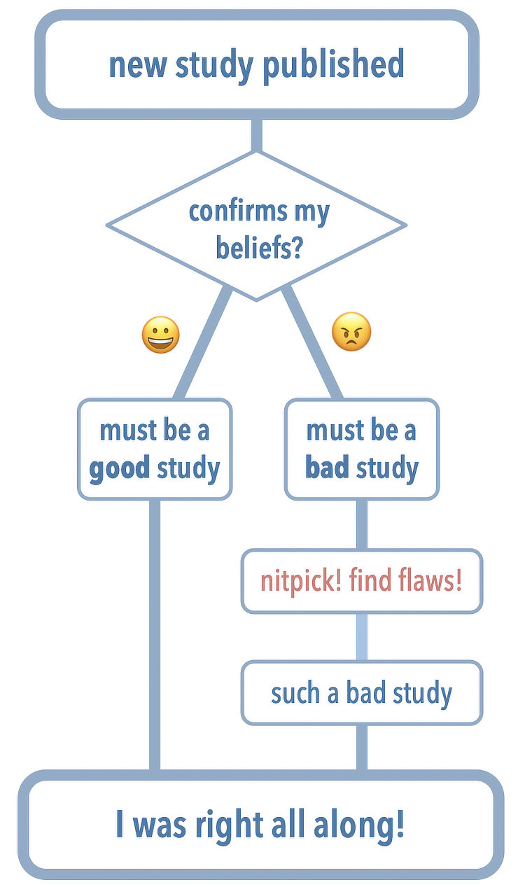 Flow chart: first cell, new study published. Second, does it confirm my beliefs? If yes, must be a good study. If no, must be a bad study, nitpick and find flaws, bad study confirmed. Both pathways lead to the conclusion: I was right all along!