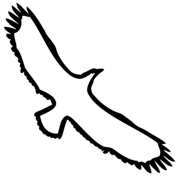Drawing of an eagle, representing Eagle Syndrome, one possible cause of globus pharyngeus.