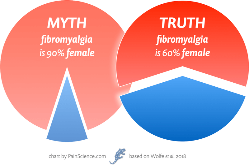 A pair of pie charts compares a myth versus the truth about the gender ratio in fibromyalgia. The left chart, labeled “MYTH,” claims that fibromyalgia is 90% female and shows a small blue wedge (male) and a large red portion (female). The right chart, labeled “TRUTH,” states that fibromyalgia is actually only 60% female.