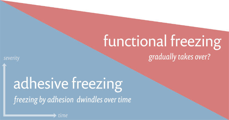 A diagram depicting the hypothetical relationship between functional and adhesive restriction of movement in frozen shoulder.