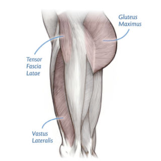 https://www.painscience.com/imgs/itbs-anatomy--sq-320x320-15k.jpg