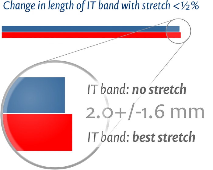Diagram illustrating the “change in length of the IT band with stretch of less than half a percent”. It shows two thick lines that span most of the width of the diagram, and one is just slightly longer than the other (half a percent longer, to be precise). A magnification circle zooms in on the ends of the lines and their different lengths, labelling it as a difference of 2.0±1.6mm.