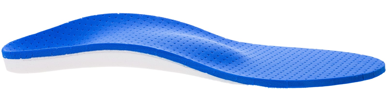 Photo of a single blue orthoses isolated on white.