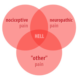 Types of pain and where fibromyalgia fits in (or doesn’t): a Venn diagram showing the overlap of nociceptive, neuropathic, and “other” pain, with “hell” in the middle.