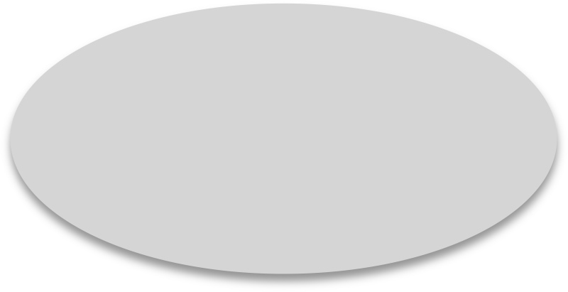An extremely simple diagram consisting of an gray oval that is exactly twice as wide as tall.