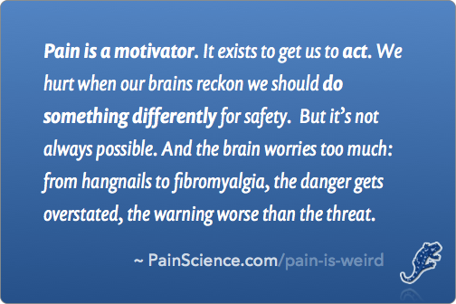Pain is a motivator. It exists to get us to act. We hurt when our brains reckon we should do something differently for safety. But it’s not always possible. And the brain worries too much: from hangnails to fibromyalgia, the danger gets overstated, the warning worse than the threat.