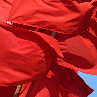 Picture of red flags, symbolizing the red flags that indicate quackery.