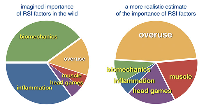 Two pie charts, comparing the real and imagined important of factors in repetitive strain injury.