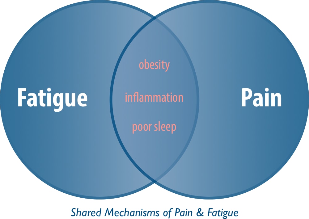 Venn diagram titled “Shared Mechanisms of Pain & Fatigue”: two circles, overlapping partially, centre sections labelled with inflammation, poor sleep, and obesity.