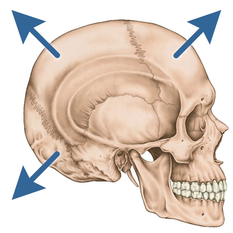 Anatomical illustration of side view a skull, with three large blue arrows pointing outwards from the center.