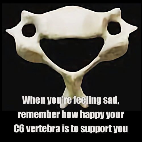 Top-down photo of a C6 vertebra, which appears to have a huge grin and wide open eyes. Caption: “When you’re feeling sad, remember how happy your C6 vertebra is to support you.”