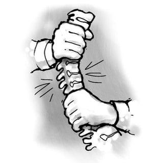 Illustration of spinal adjustment: two hands gripping a skeletal spinal column.