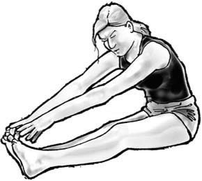 Illustration of a woman stretching her hamstrings.