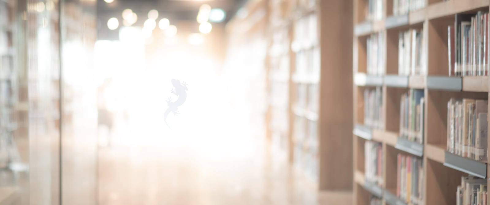 Photo of an extremely bright, sunny library with bookshelves receding into the distance and disappearing into blazing sunshine. In the center of the light, there is a barely visible silhouette of a salamander.