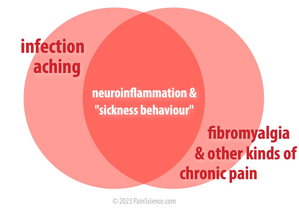 Venn diagram showing substantial overlap between “infection aching” and “fibromyalgia and other kinds of chronic pain.”
