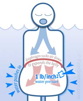 Complicated diagram of a torso submerged in water, showing how water exerts a pressure of 1 pound per square inch on all the surface area of the adomen, resisting inhalation.